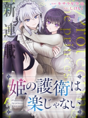 姫の護衛は楽じゃない